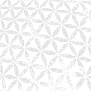 Nature_Dream_Rückseite